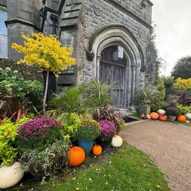 Preparing for the Spectacular: Behind the Scenes of our Halloween Open Day and Garden Preparations!